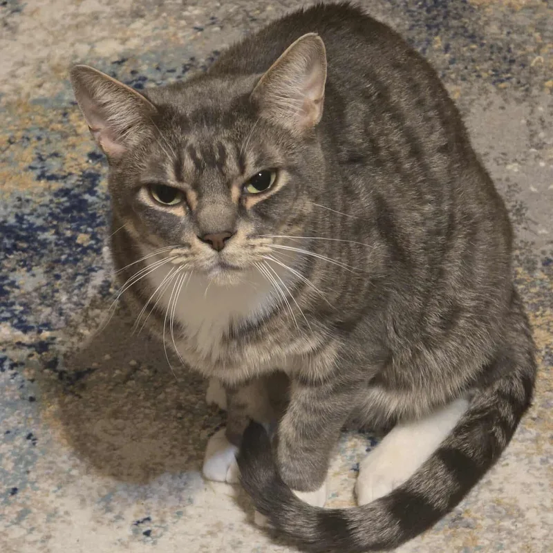 Sherlock & Watson thumbnail 2