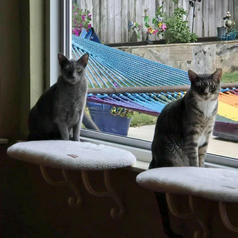 Sherlock & Watson thumbnail 4