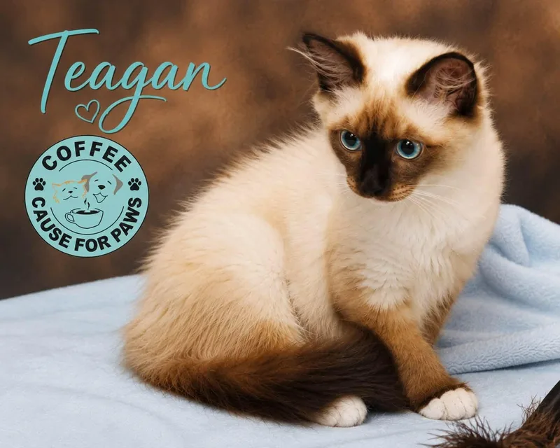 Teagan thumbnail 2