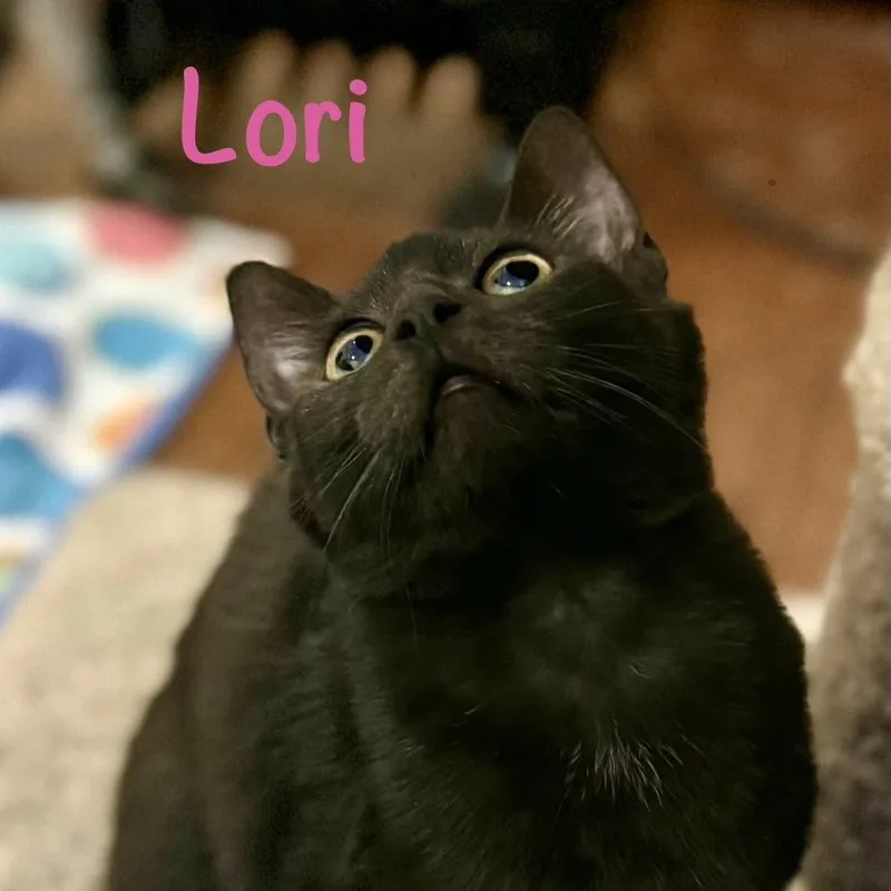 Lori thumbnail 3