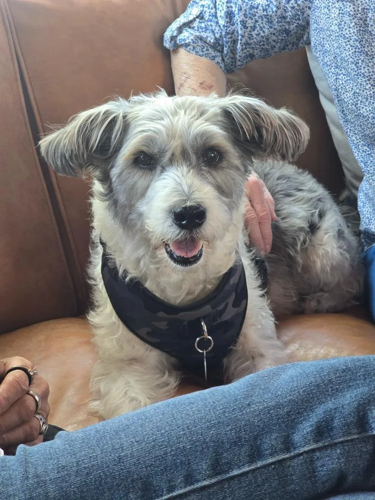 Milo