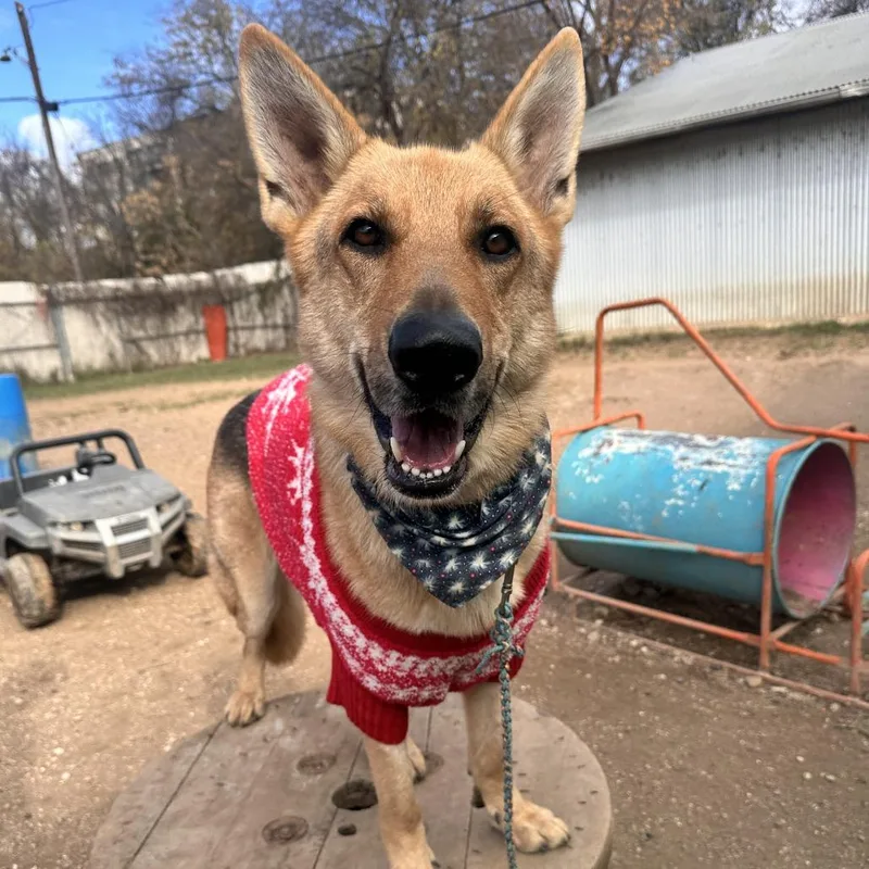 Don Dudley thumbnail 2