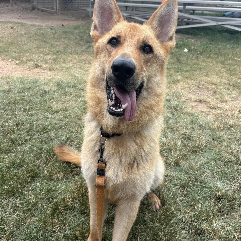 Don Dudley thumbnail 3