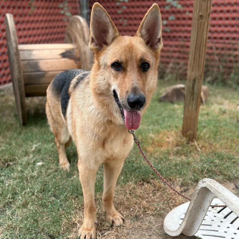 Don Dudley thumbnail 5