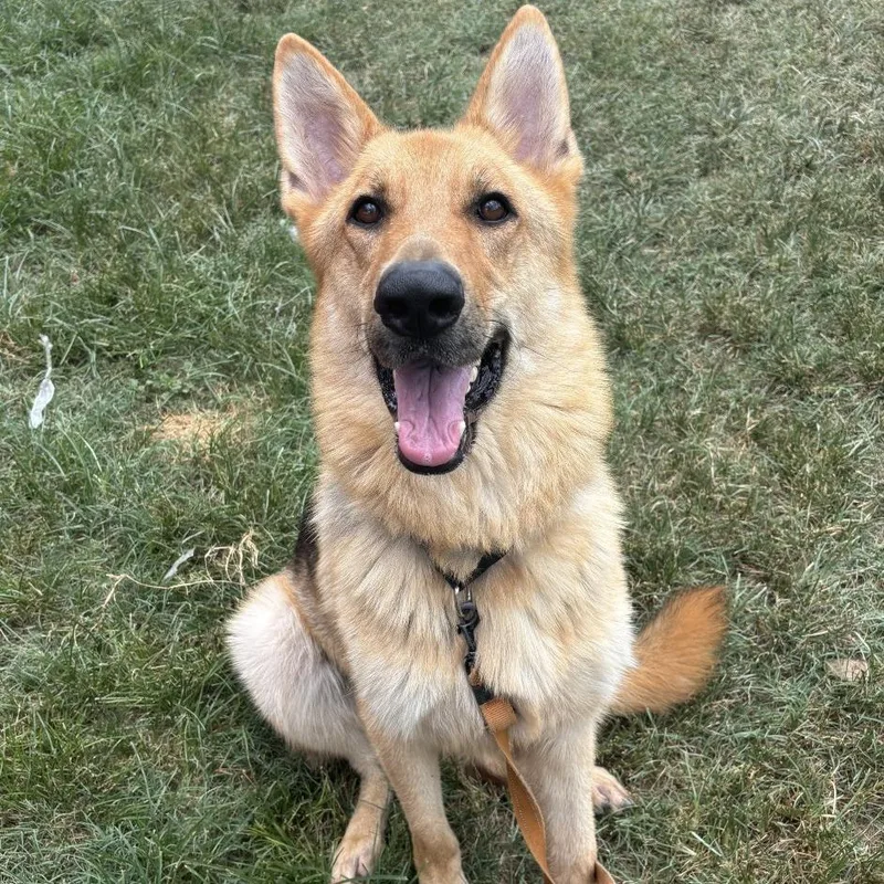 Don Dudley thumbnail 6