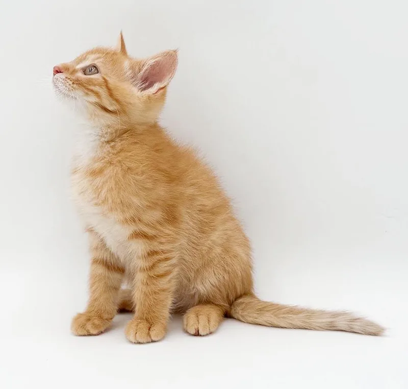 Theo is THE sweetest thumbnail 5