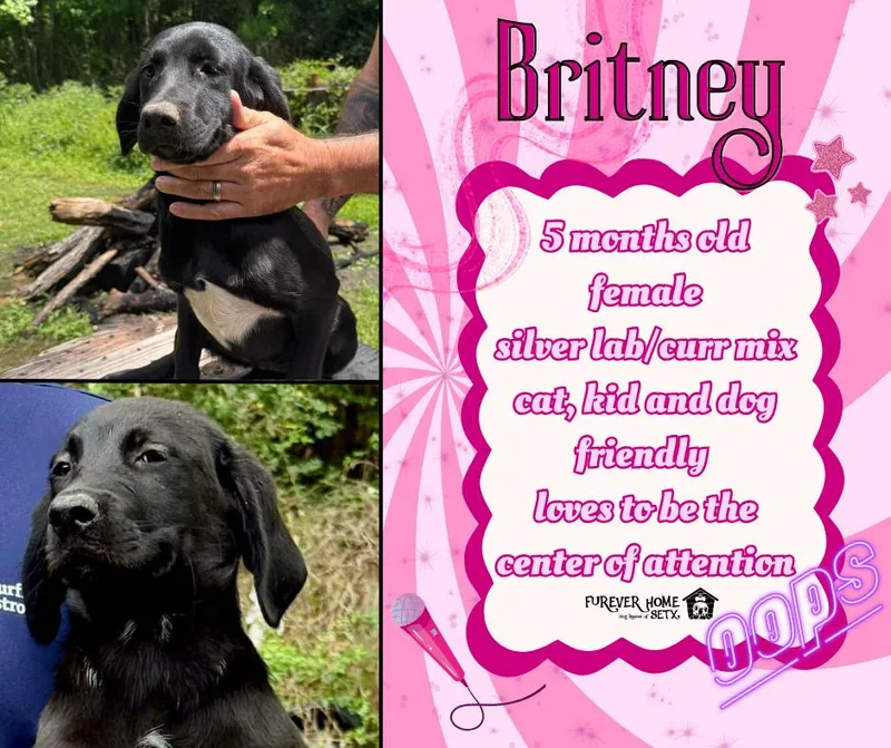 Britney