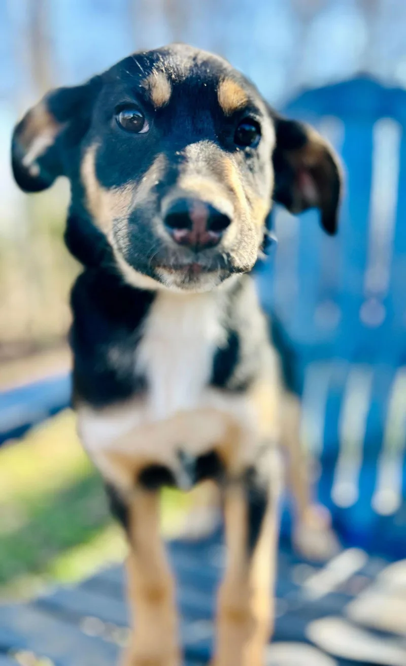 Salem Oct   thumbnail 2