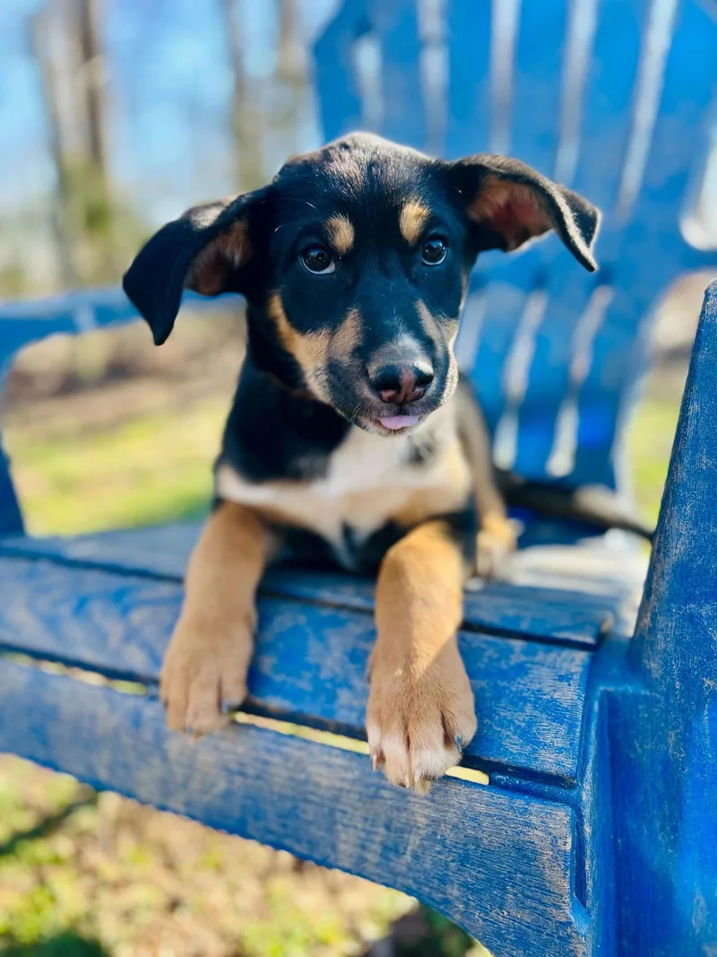 Salem Oct   thumbnail 3