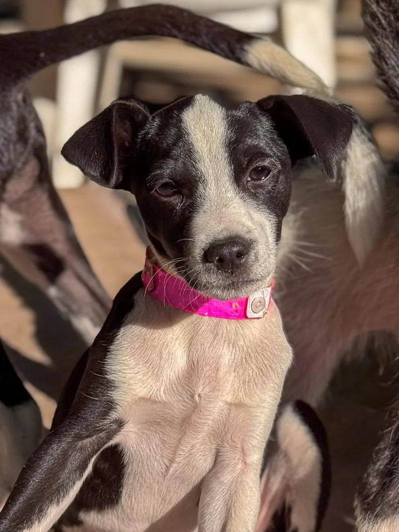 Baby Tia thumbnail 2