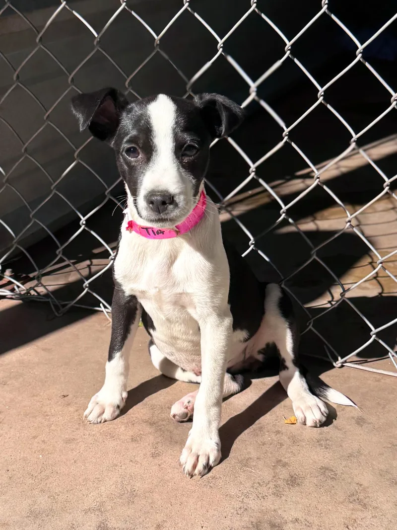 Baby Tia thumbnail 4