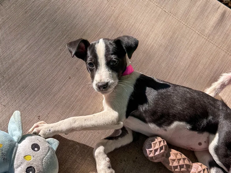 Baby Tia thumbnail 5