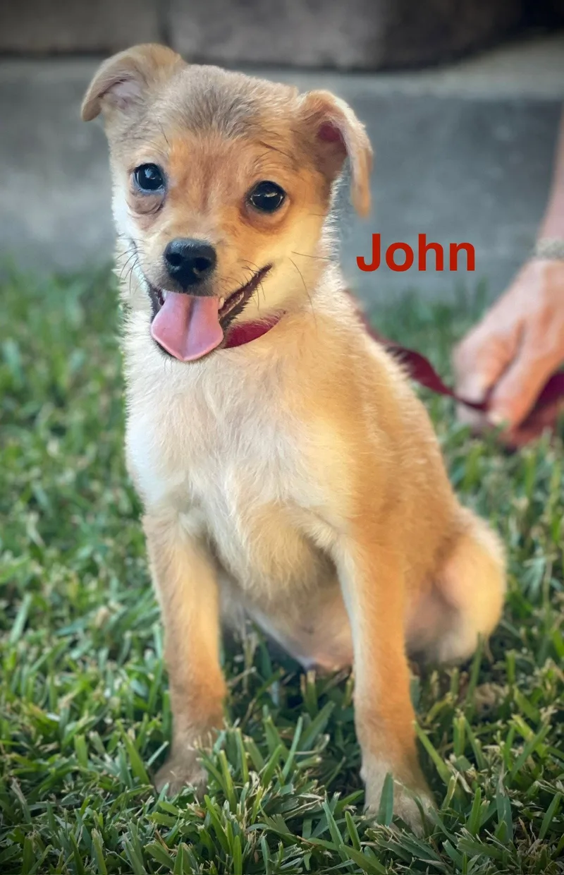 John Collins thumbnail 2