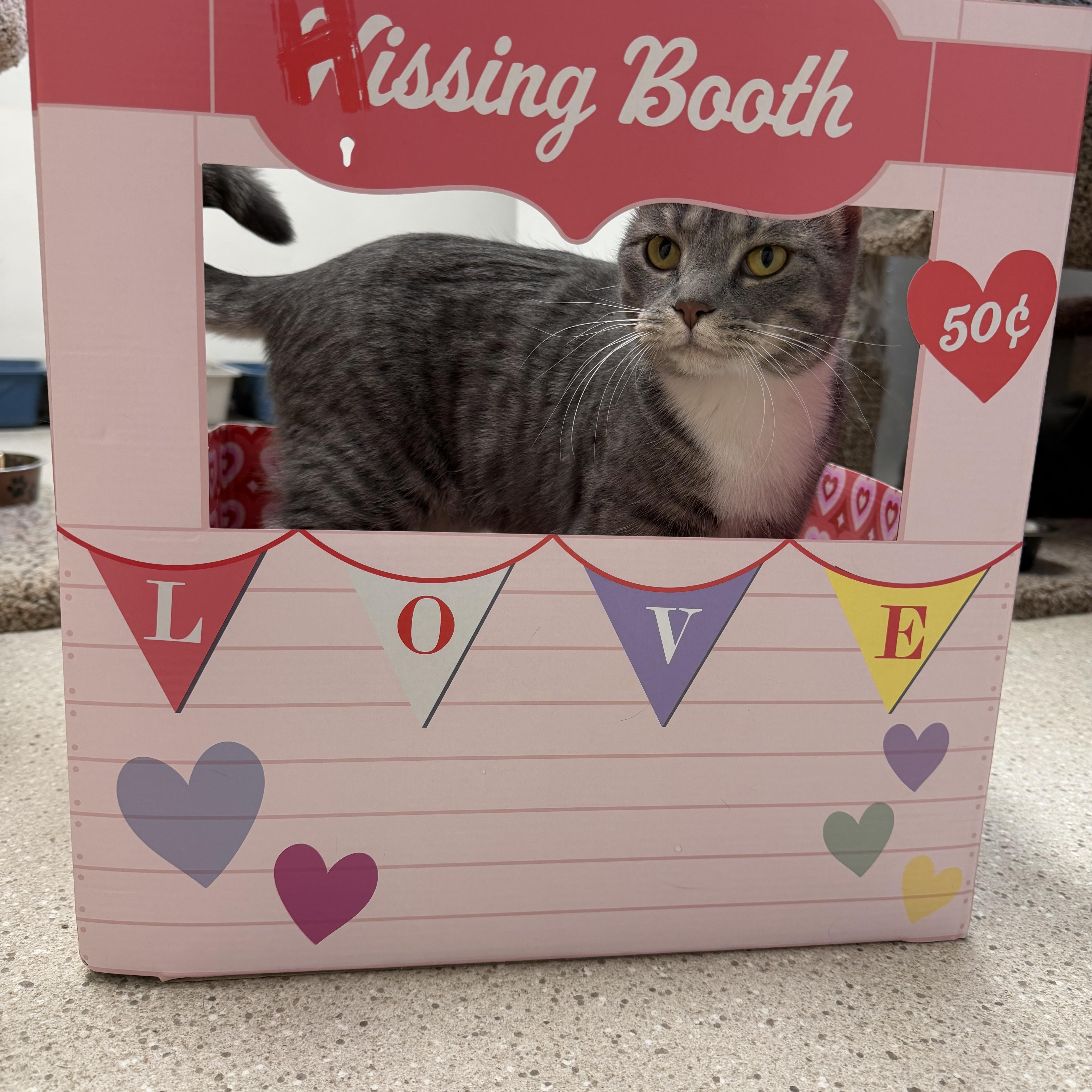 Sweet Potato & Becca thumbnail 4