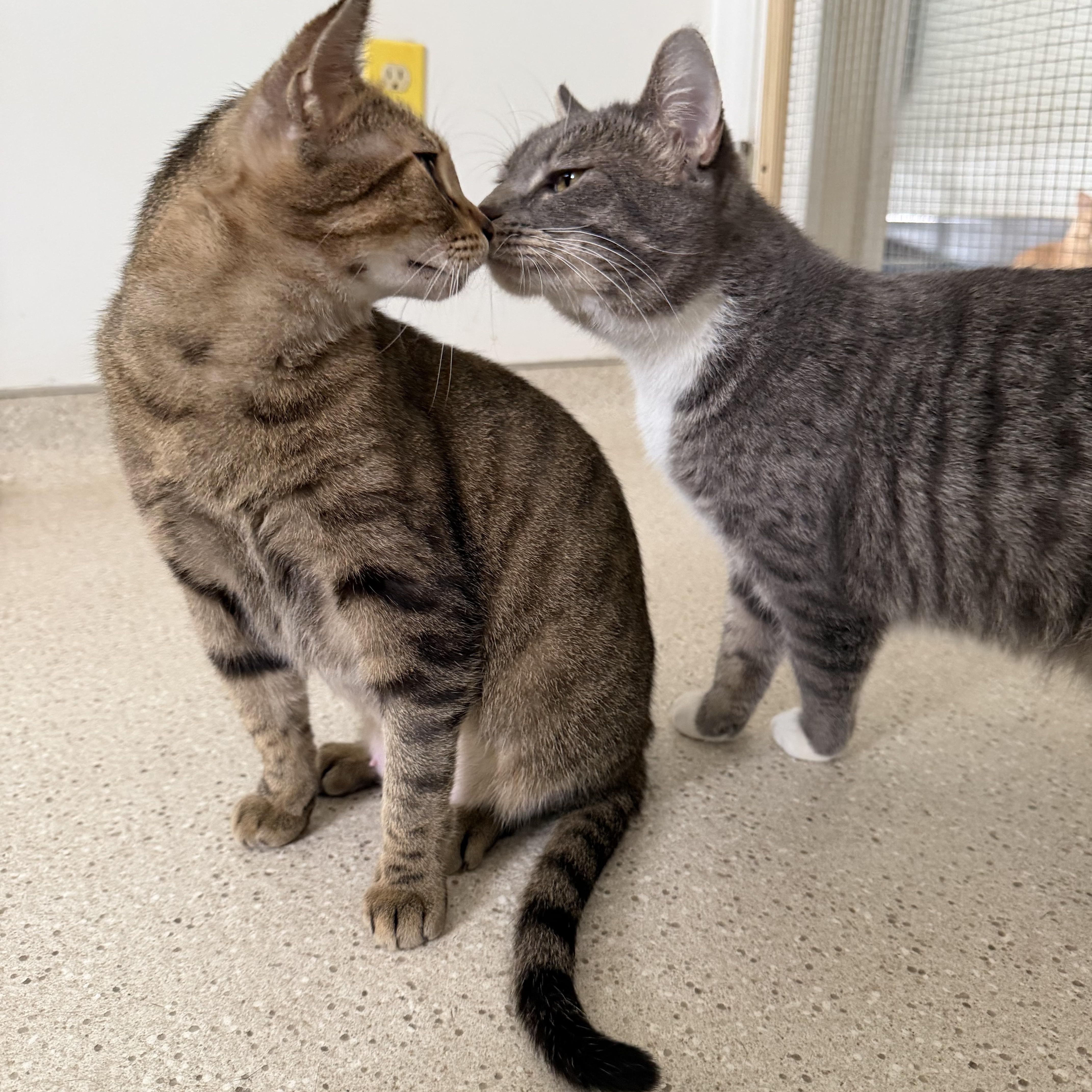 Sweet Potato & Becca