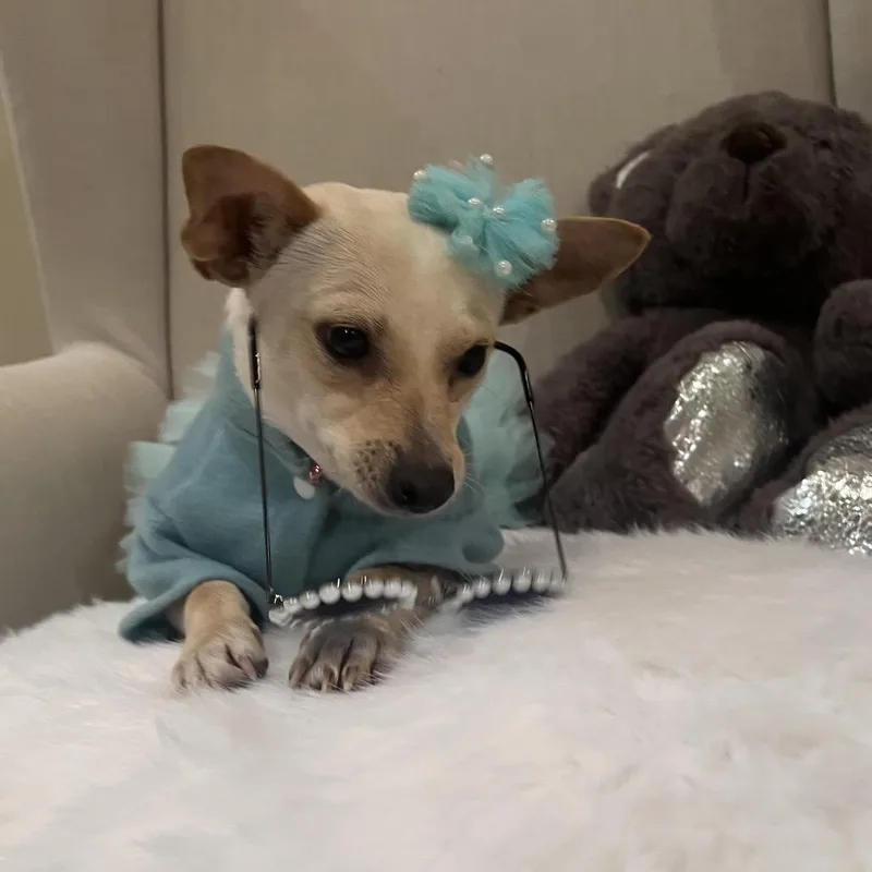 Ginger Renee thumbnail 4