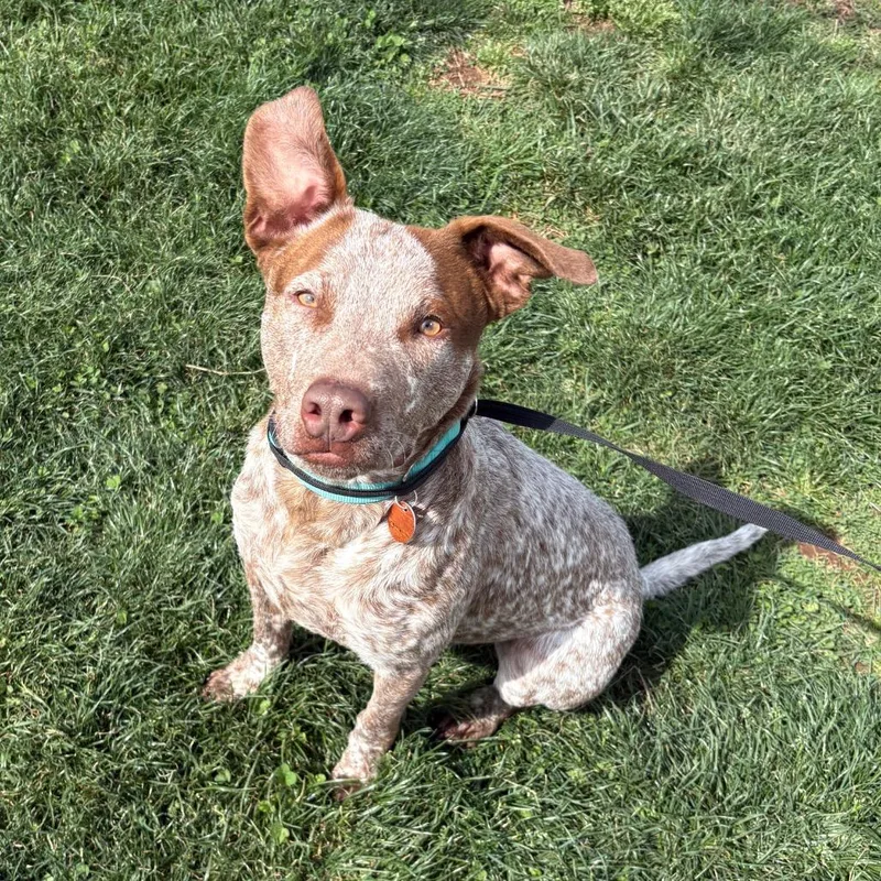 Kingston thumbnail 3