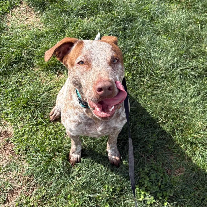 Kingston thumbnail 4