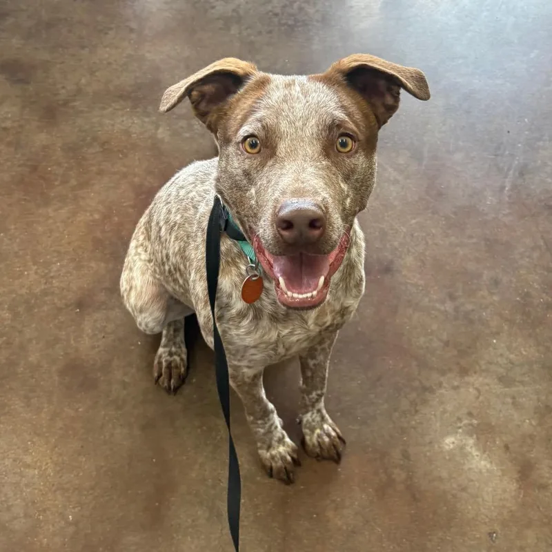 Kingston thumbnail 5