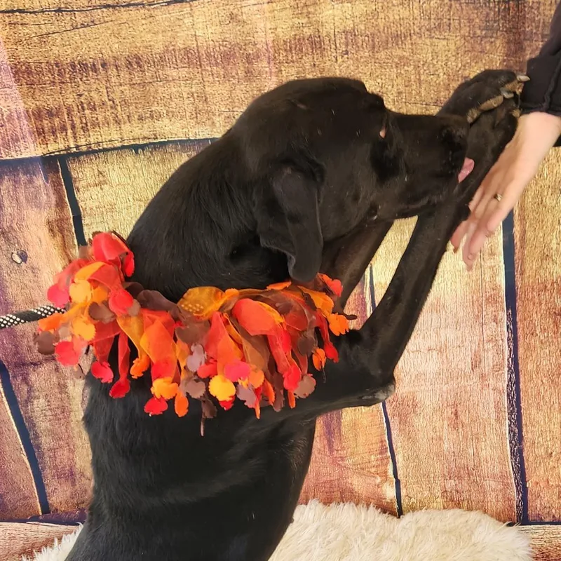 Gusher Jum thumbnail 3