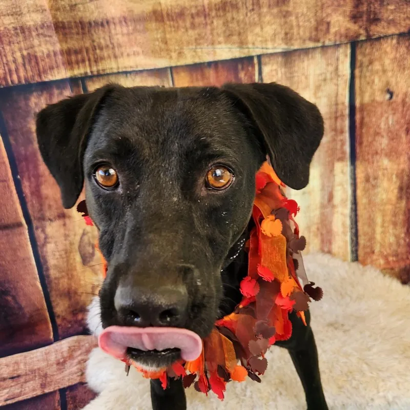 Gusher Jum thumbnail 5