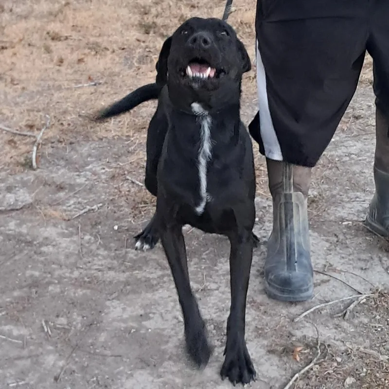 Gusher Jum thumbnail 6