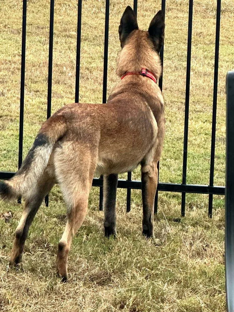 Chase  Located In thumbnail 2