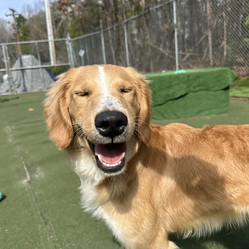 O’malley thumbnail 3