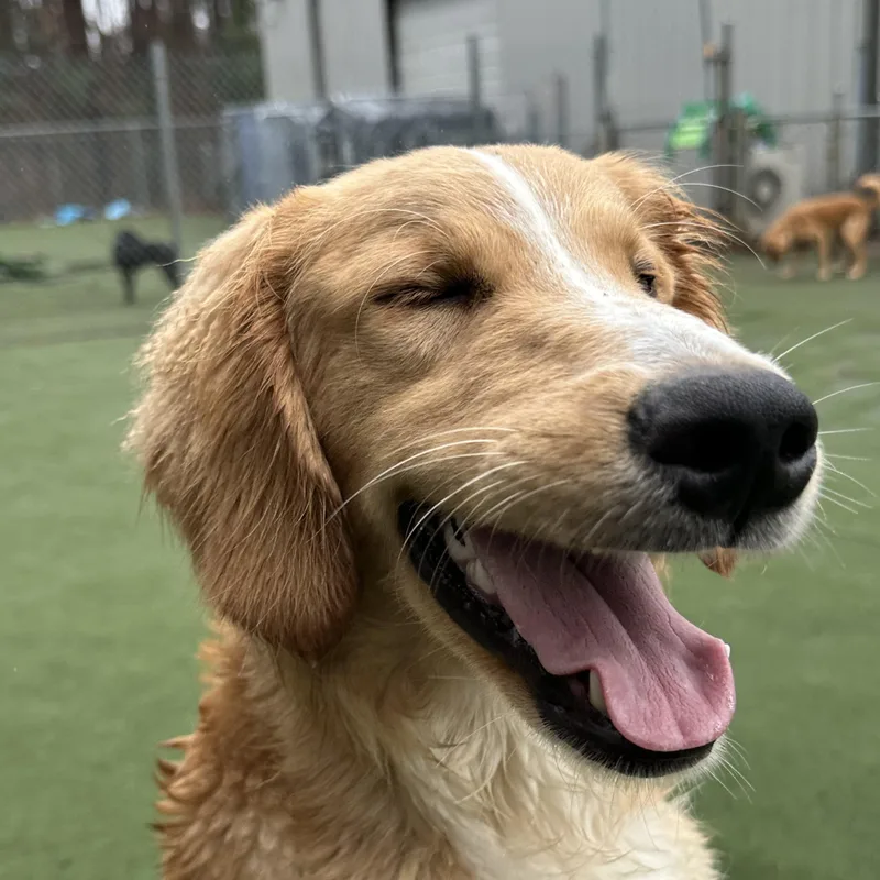 O’malley thumbnail 5