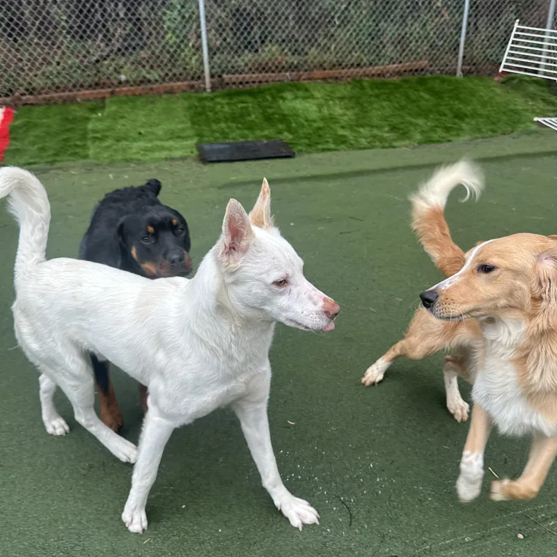 O’malley thumbnail 6