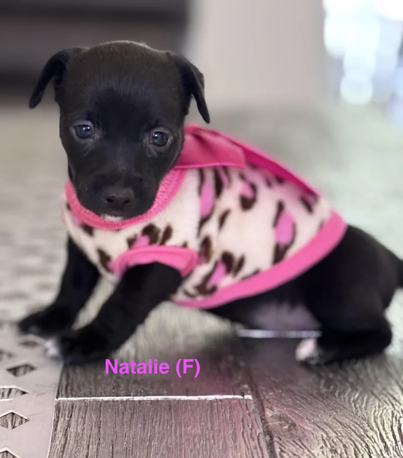 Natalie thumbnail 5