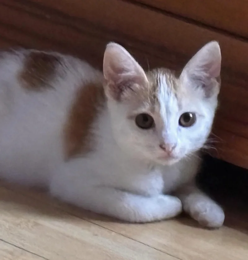 Waylon thumbnail 2