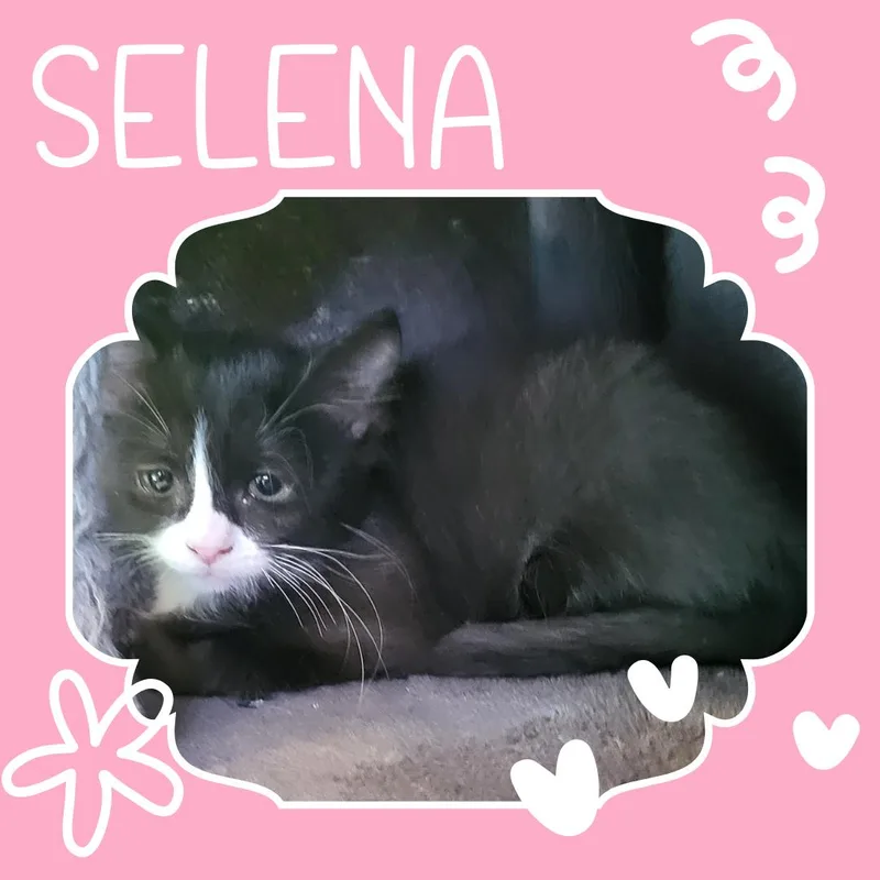 Selena