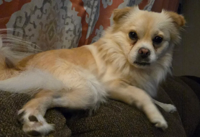 Cooper thumbnail 6