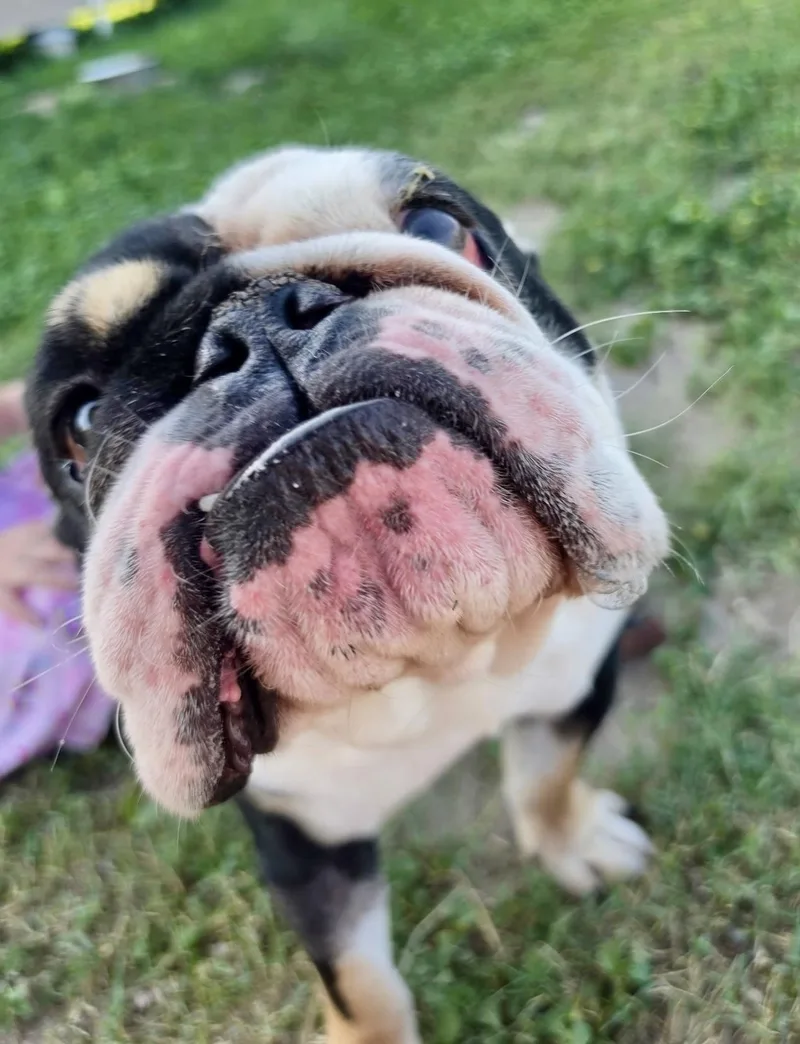 Billy thumbnail 2