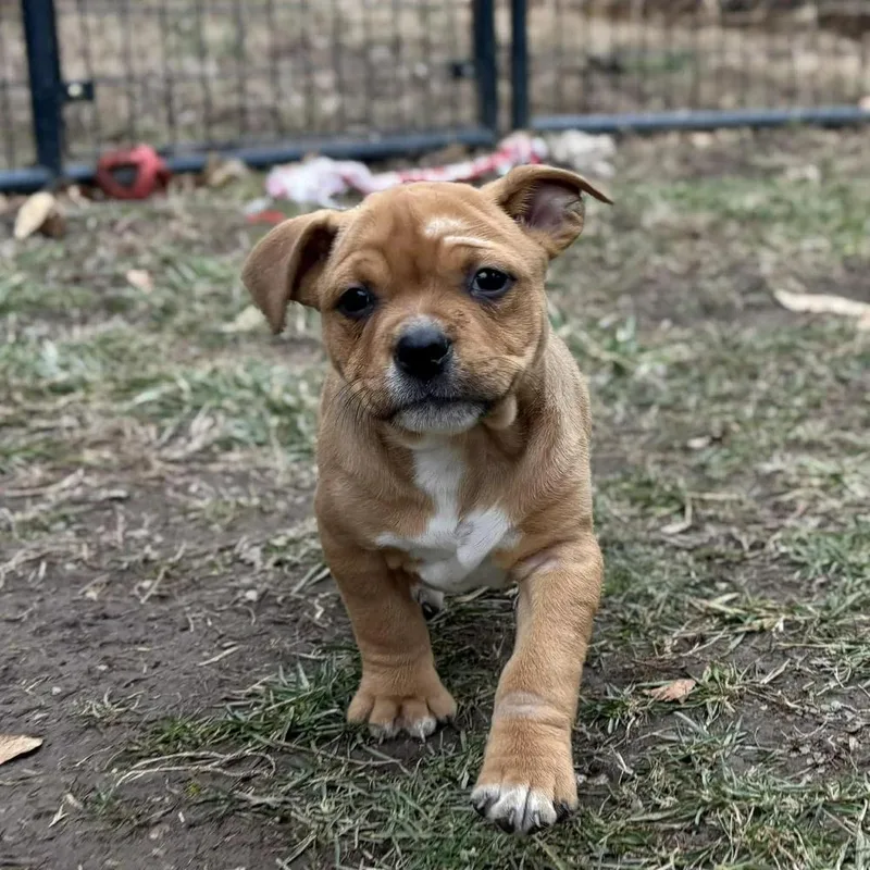 Robin Buckley thumbnail 2