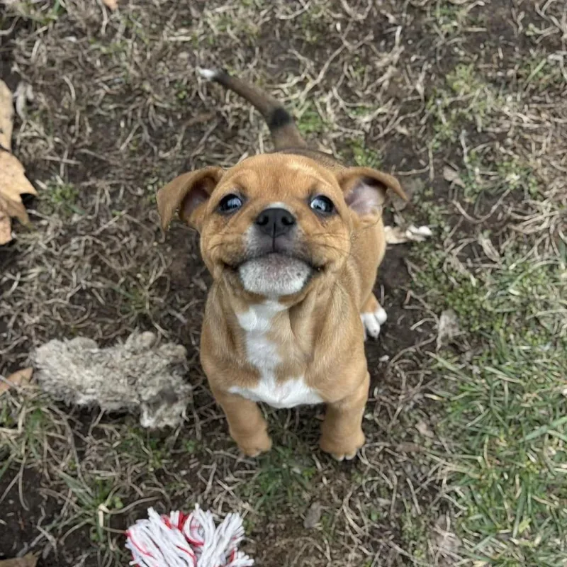 Robin Buckley thumbnail 3