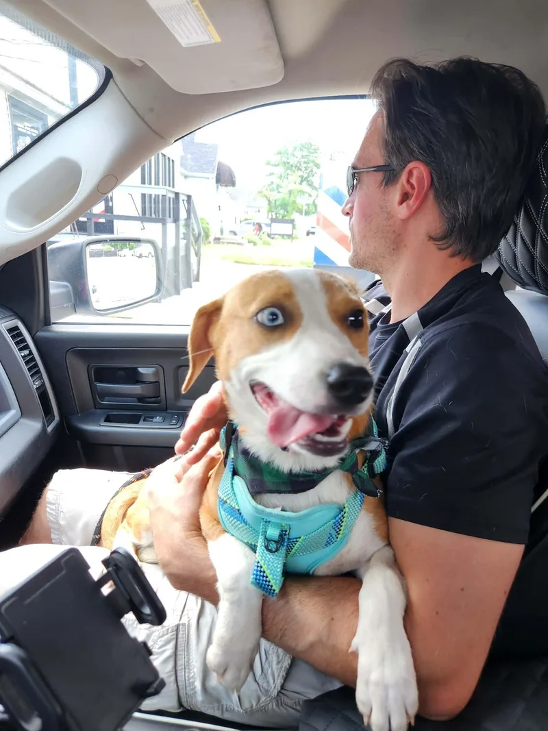 Snickers thumbnail 3