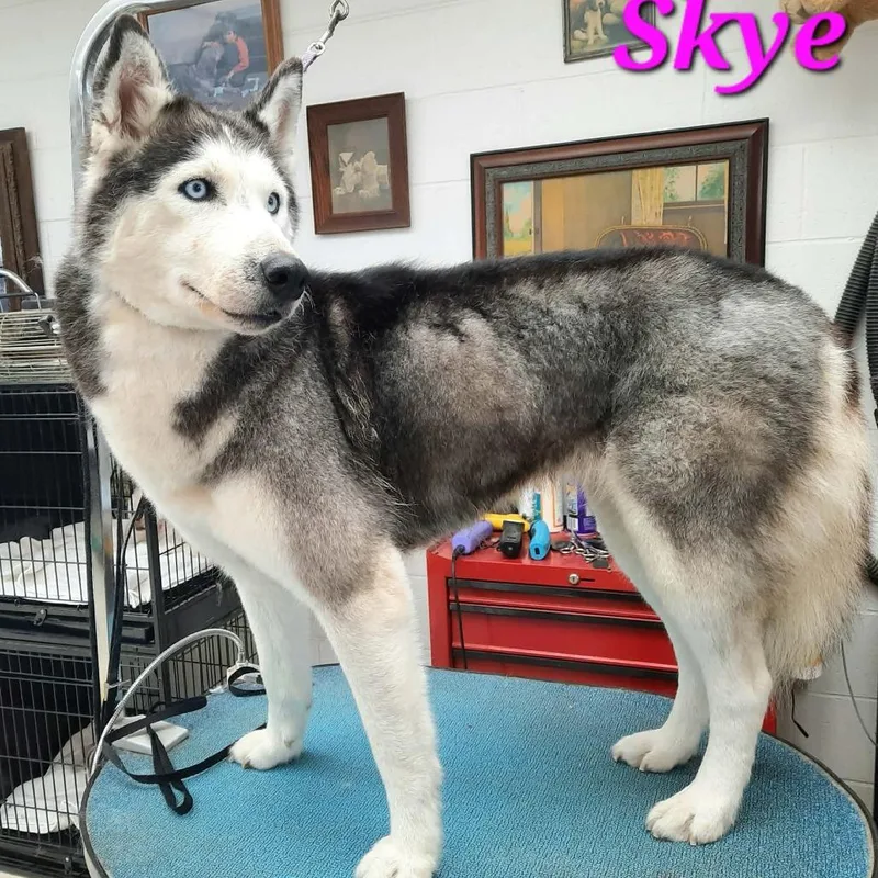 Skye