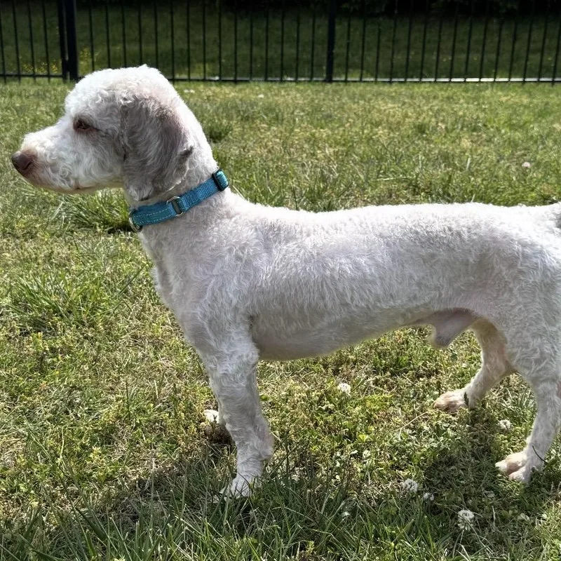 Hartwin Winks thumbnail 3