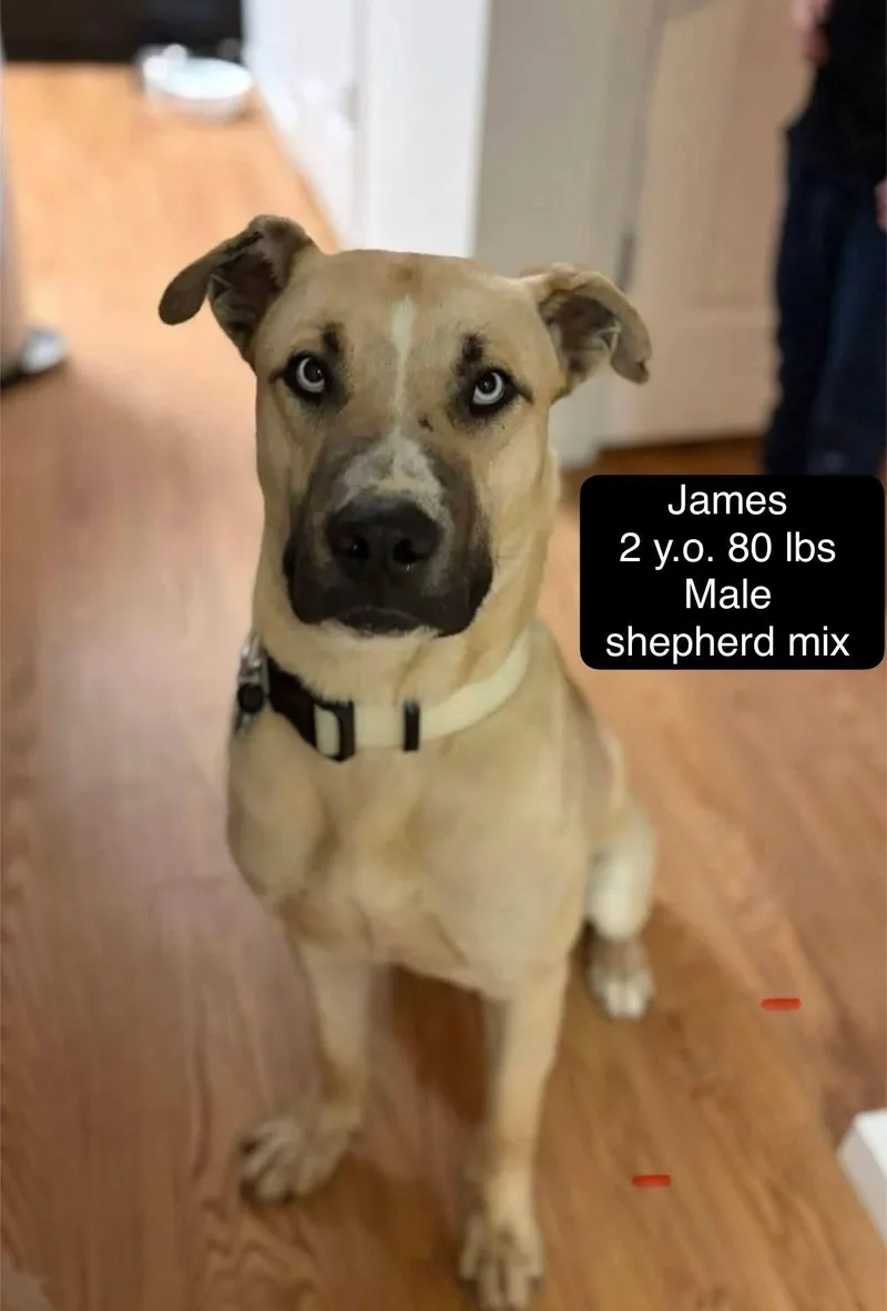 James thumbnail 6
