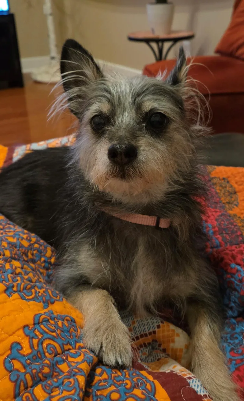 Rosie