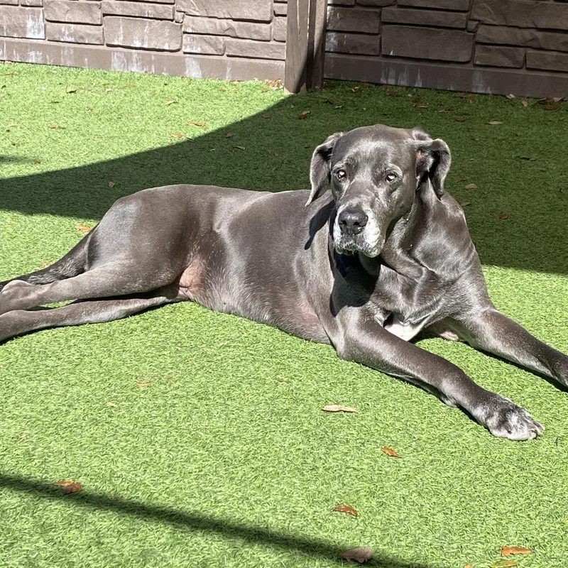 Rock Candy thumbnail 2