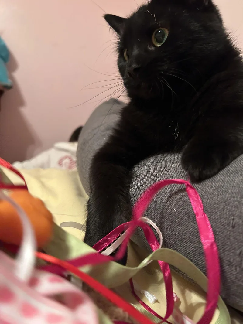 Wednesday thumbnail 2