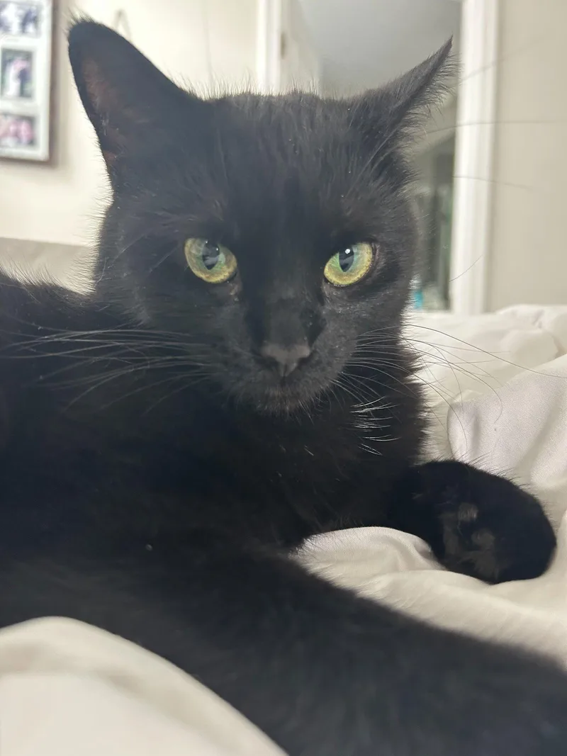 Wednesday thumbnail 3