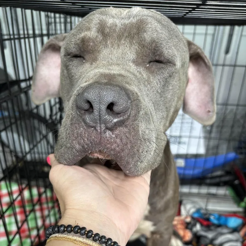 Devrim Kay thumbnail 2