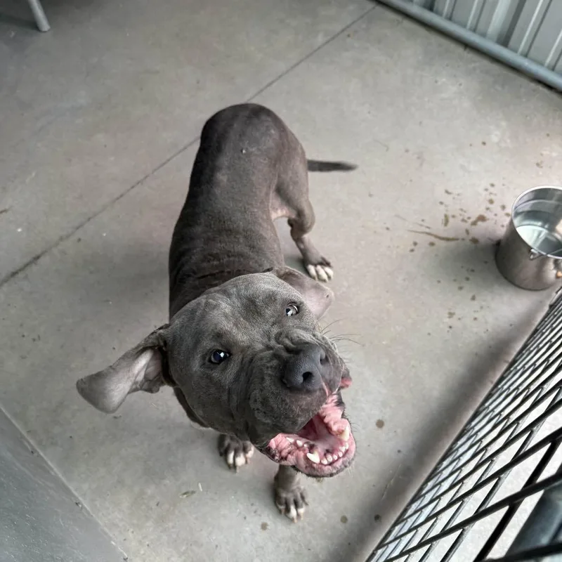 Devrim Kay thumbnail 3