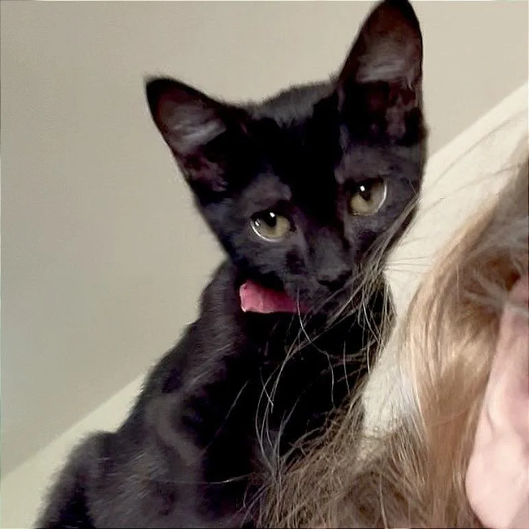 Violet thumbnail 3