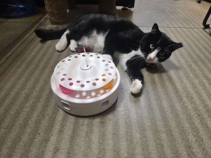 Faitha Gentle Soul In thumbnail 4