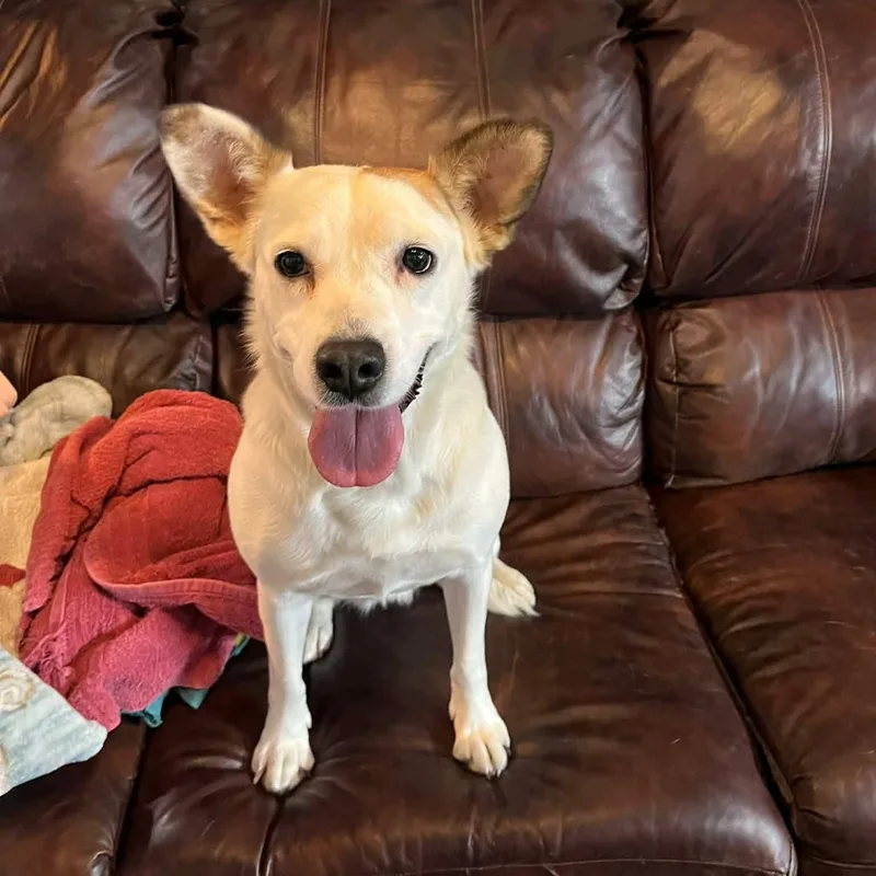 Meredith Grey thumbnail 3